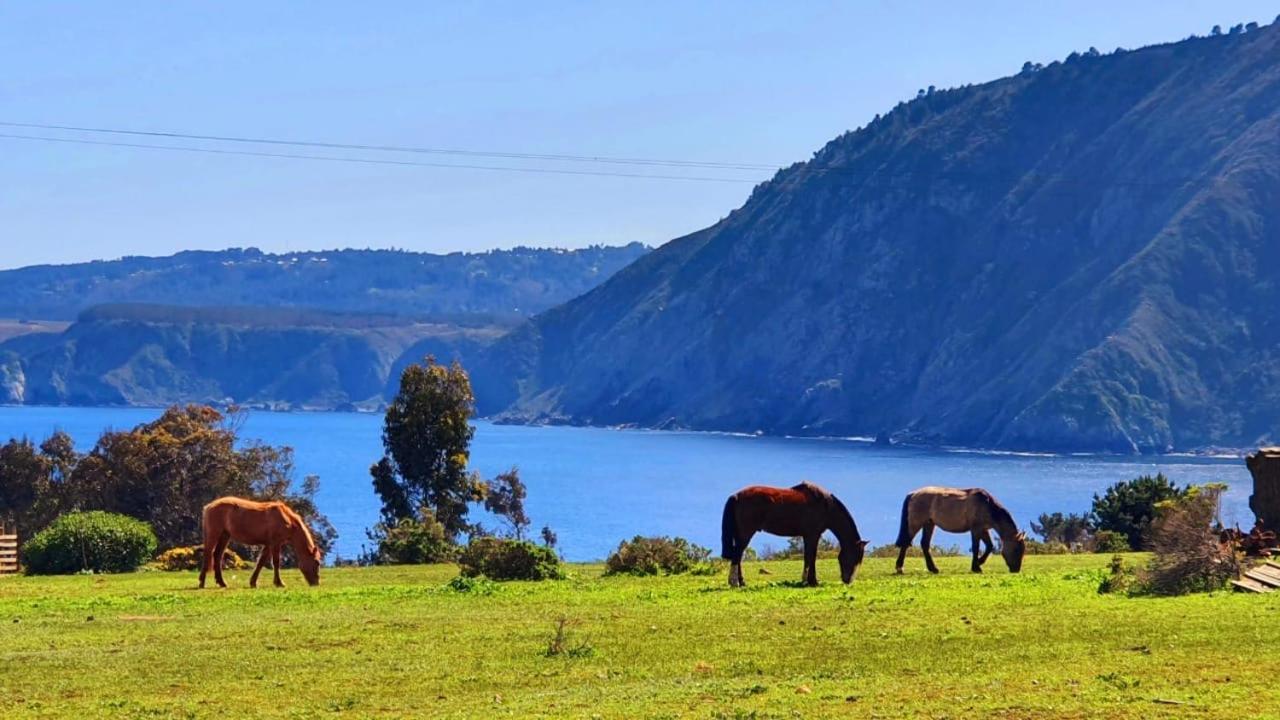 En Con Parrilla, Fogon, Piscina Y Bosque Casa de férias Tunquén