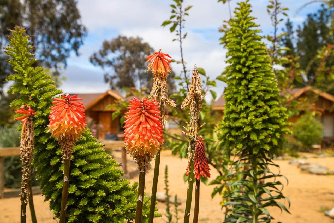 En Con Parrilla, Fogon, Piscina Y Bosque Casa de férias *