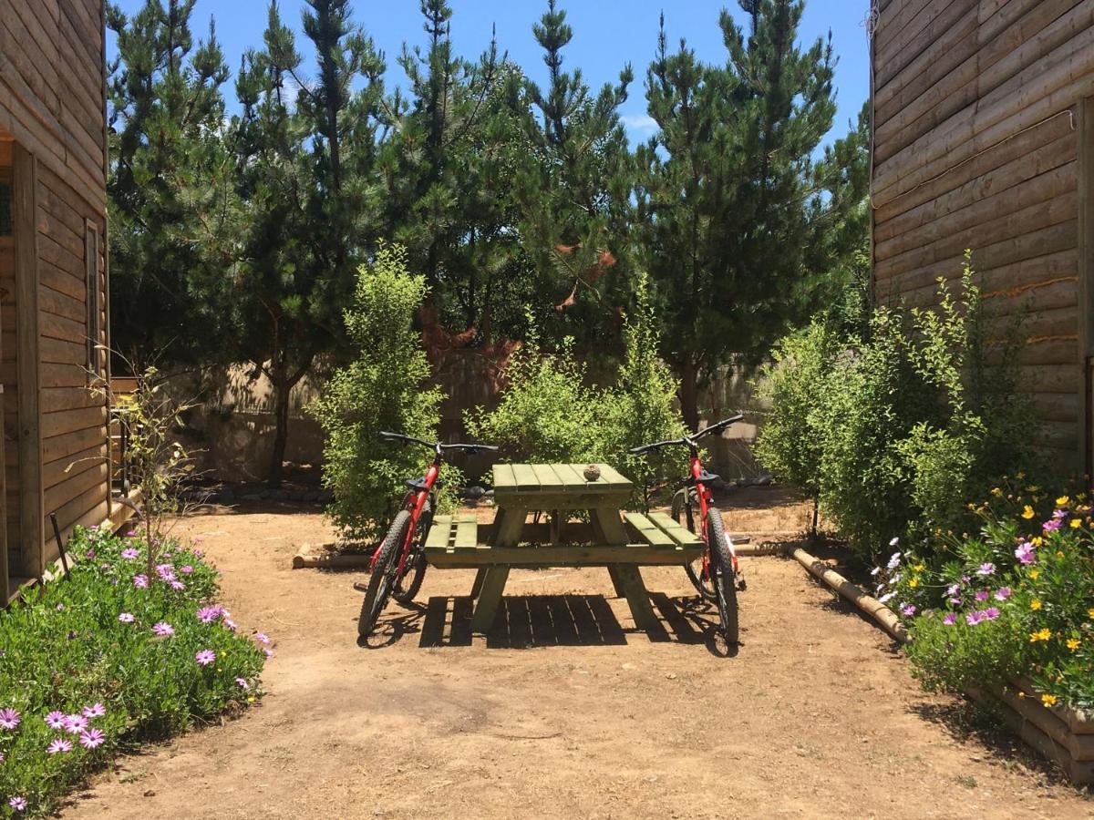 Casa de férias En Con Parrilla, Fogon, Piscina Y Bosque