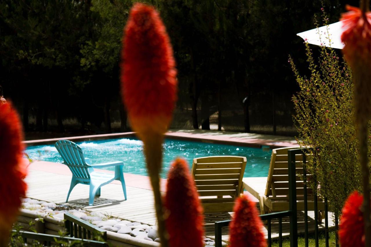 En Con Parrilla, Fogon, Piscina Y Bosque Casa de férias Tunquén