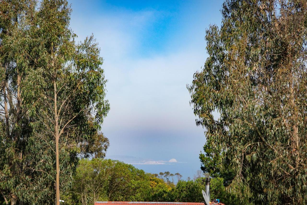 Casa de férias En Con Parrilla, Fogon, Piscina Y Bosque *