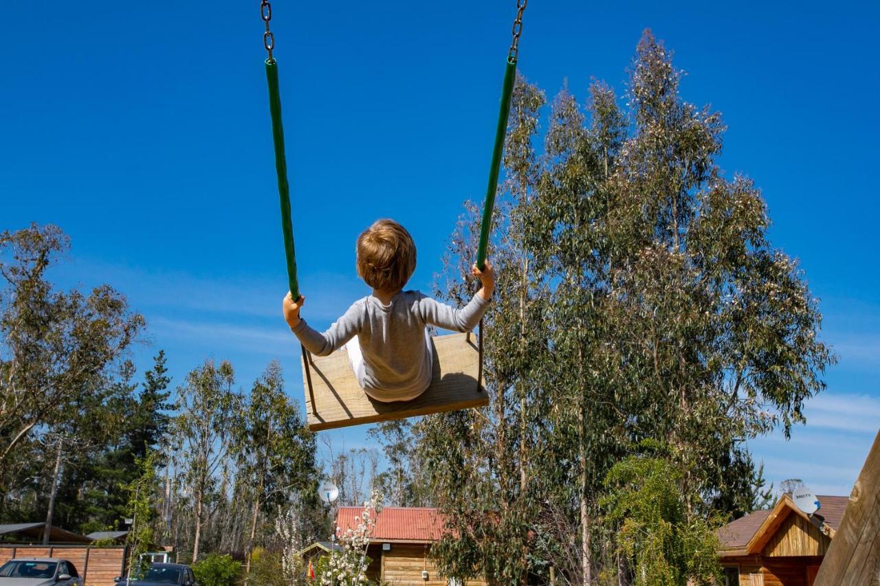 En Con Parrilla, Fogon, Piscina Y Bosque Tunquén