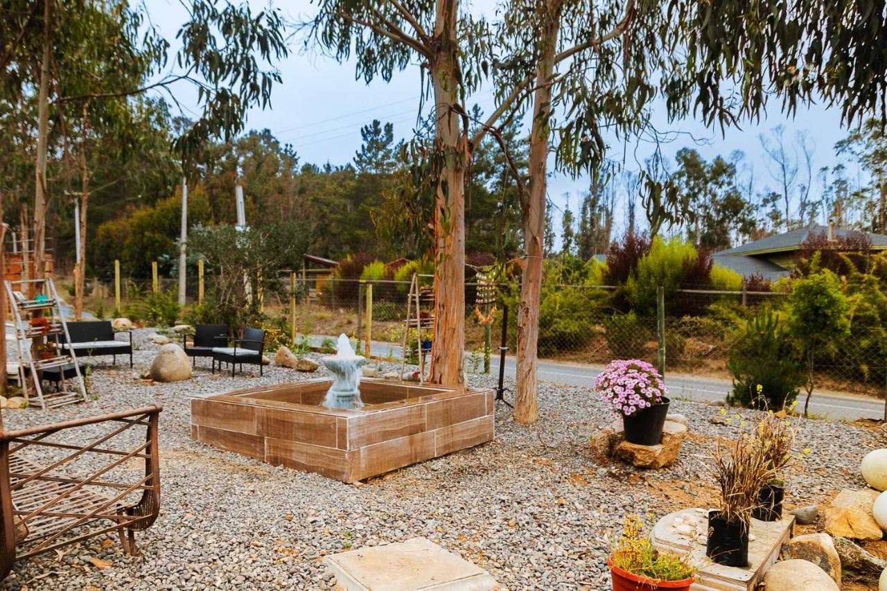 En Tunquén, Bosque, Piscina Y Vista Al Mar *